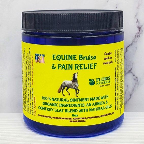 Natural Equine Pain Relief Ointment for Horses - Floris Naturals