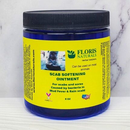 Natural Scab Ointment - Floris Naturals