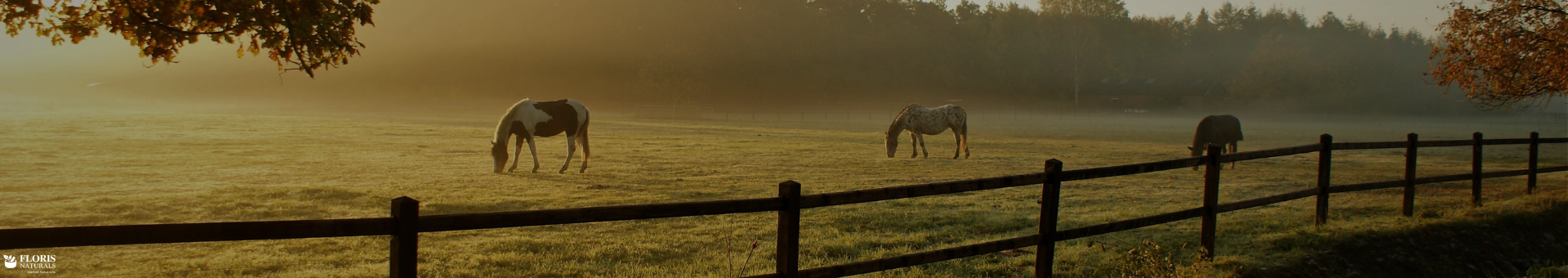 Floris Naturals - Equine Products