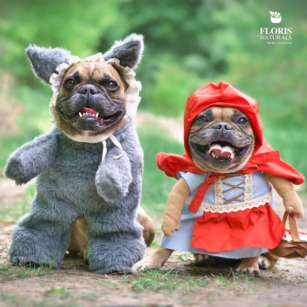 Floris Naturals - Pet Costumes