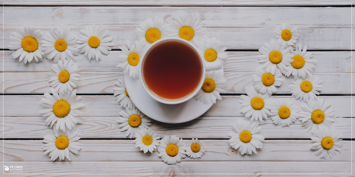 Floris Naturals - The Benefits of Reducing Caffeine and Switching to Healthy Alternatives