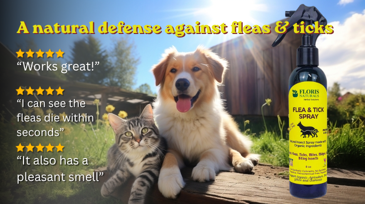 flea and tick spray