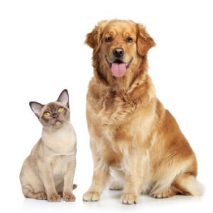 Canine & Feline Products